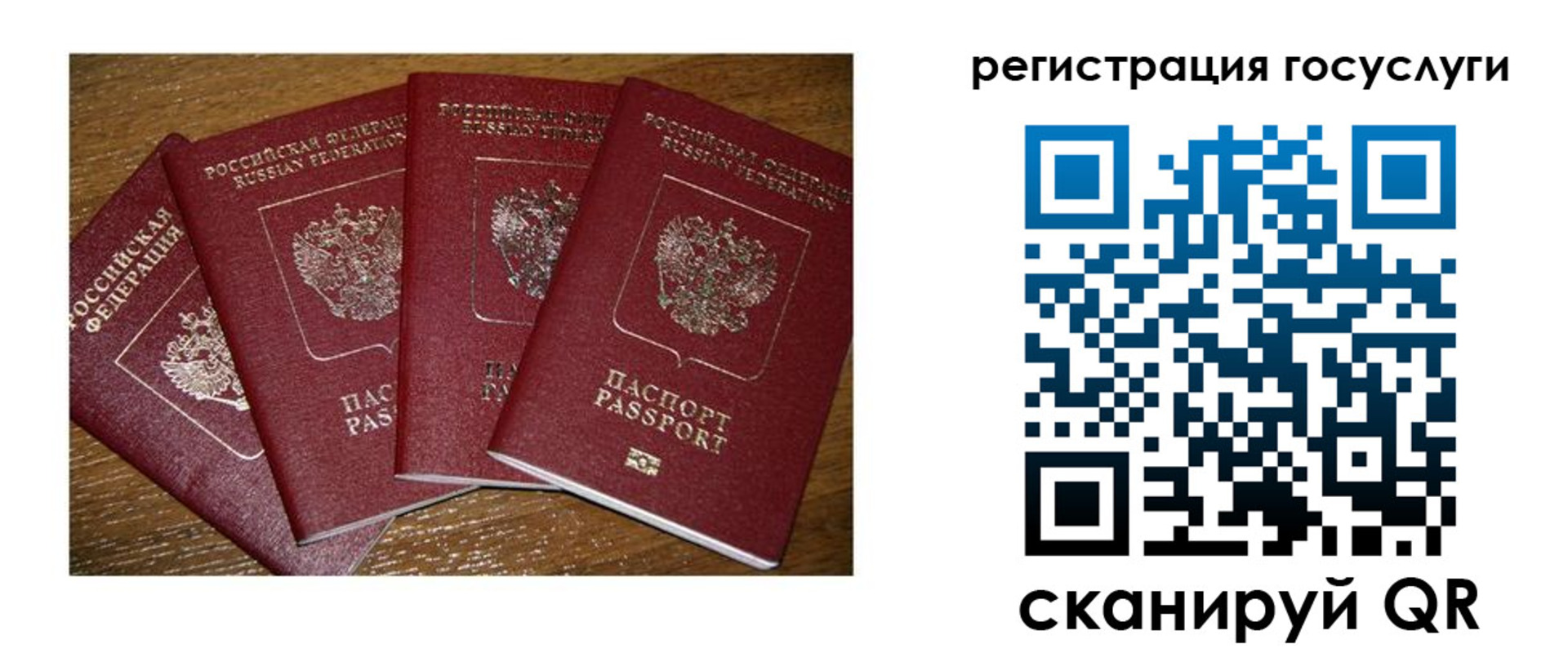 временная регистрация гарантия в Коле